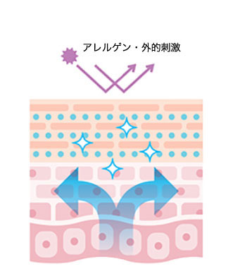 肌図