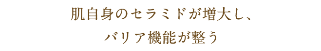 肌自身のセラミドが増大し、バリア機能が整う