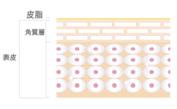 肌図